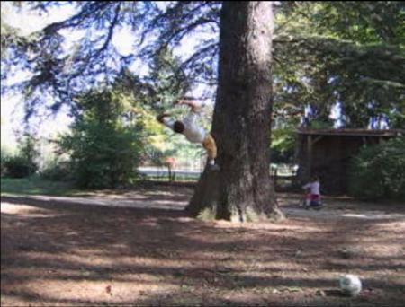 c'est moi    ghabat ma3mora   pas de koi salto 9wada